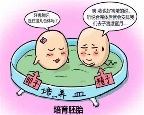 北京助孕收费多少一次（上海天使助孕）