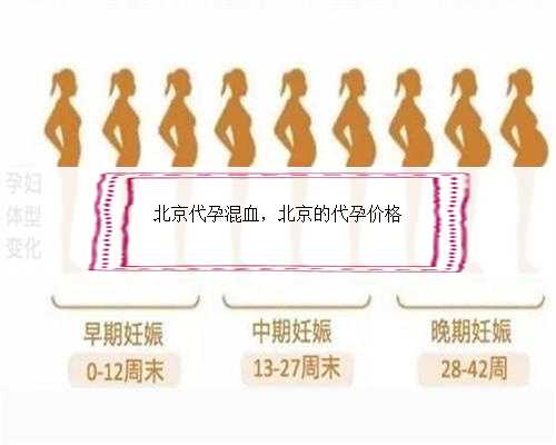 北京代孕混血，北京的代孕价格