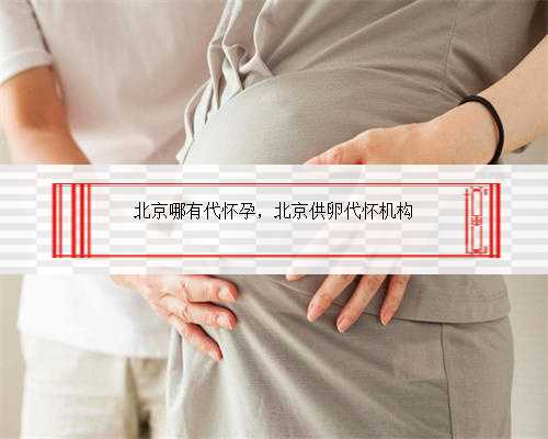 北京哪有代怀孕，北京供卵代怀机构